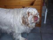 The Patio at the Hilton Harrisburg